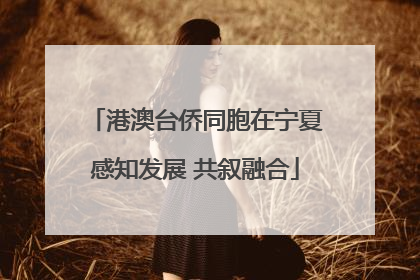 港澳台侨同胞在宁夏感知发展 共叙融合