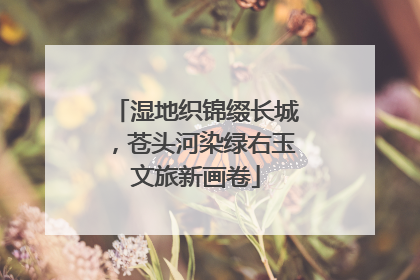 湿地织锦缀长城，苍头河染绿右玉文旅新画卷