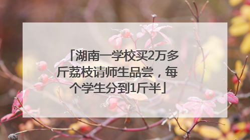 湖南一学校买2万多斤荔枝请师生品尝，每个学生分到1斤半