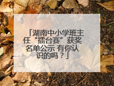 湖南中小学班主任“擂台赛”获奖名单公示 有你认识的吗？
