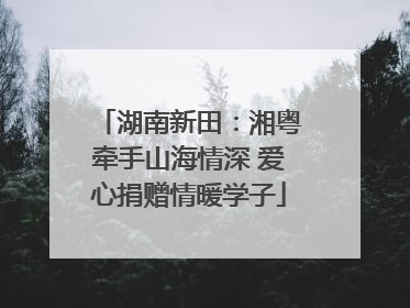 湖南新田：湘粤牵手山海情深 爱心捐赠情暖学子