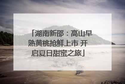 湖南新邵：高山早熟黄桃抢鲜上市 开启夏日甜蜜之旅