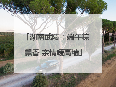 湖南武陵：端午粽飘香 亲情暖高墙