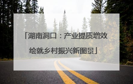 湖南洞口：产业提质增效 绘就乡村振兴新图景