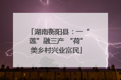 湖南衡阳县：一“莲”融三产 “荷”美乡村兴业富民