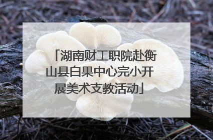湖南财工职院赴衡山县白果中心完小开展美术支教活动