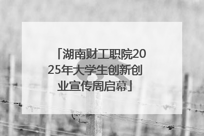 湖南财工职院2025年大学生创新创业宣传周启幕