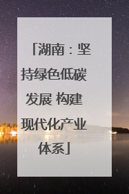 湖南：坚持绿色低碳发展 构建现代化产业体系