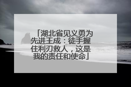 湖北省见义勇为先进王成：徒手握住利刃救人，这是我的责任和使命