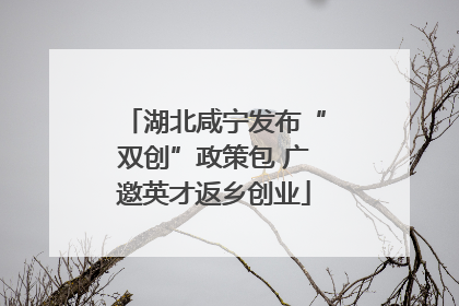 湖北咸宁发布“双创”政策包 广邀英才返乡创业