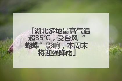 湖北多地最高气温超35℃，受台风“蝴蝶”影响，本周末将迎强降雨
