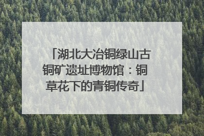湖北大冶铜绿山古铜矿遗址博物馆：铜草花下的青铜传奇