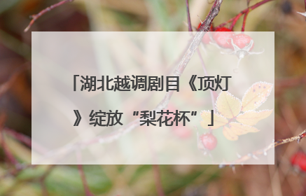 湖北越调剧目《顶灯》绽放“梨花杯”
