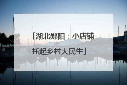 湖北郧阳：小店铺托起乡村大民生
