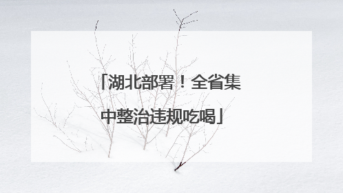 湖北部署！全省集中整治违规吃喝