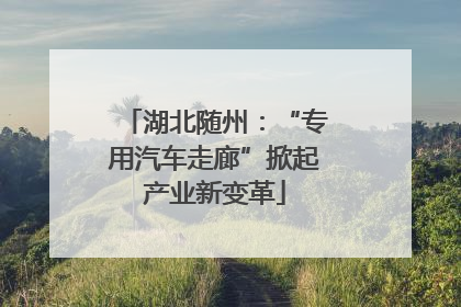 湖北随州：“专用汽车走廊”掀起产业新变革