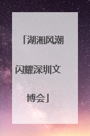 湖湘风潮闪耀深圳文博会