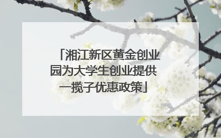 湘江新区黄金创业园为大学生创业提供一揽子优惠政策