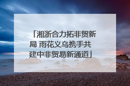 湘浙合力拓非贸新局 雨花义乌携手共建中非贸易新通道