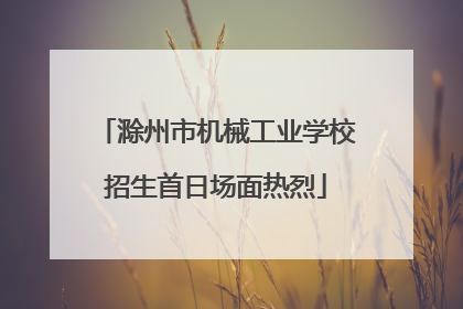 滁州市机械工业学校招生首日场面热烈