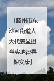 滕州市东沙河街道人大代表显担当实地督导保安康
