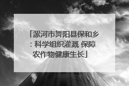 漯河市舞阳县保和乡：科学组织灌溉 保障农作物健康生长