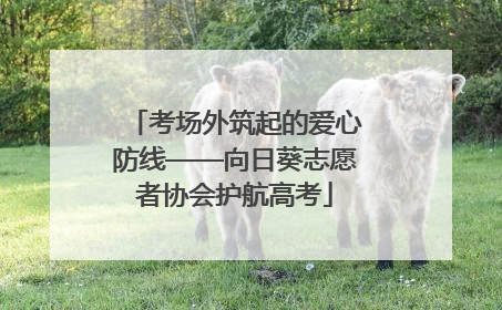 考场外筑起的爱心防线——向日葵志愿者协会护航高考