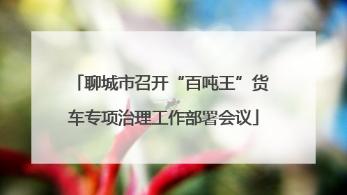 聊城市召开“百吨王”货车专项治理工作部署会议