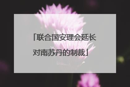 联合国安理会延长对南苏丹的制裁