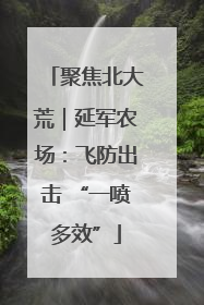 聚焦北大荒｜延军农场：飞防出击 “一喷多效”