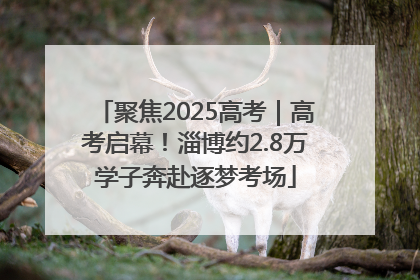 聚焦2025高考｜高考启幕！淄博约2.8万学子奔赴逐梦考场