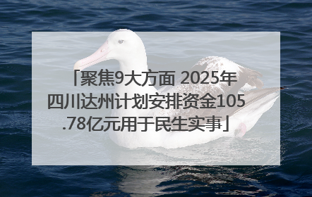 聚焦9大方面 2025年四川达州计划安排资金105.78亿元用于民生实事