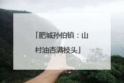 肥城孙伯镇：山村油杏满枝头