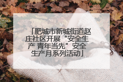 肥城市新城街道赵庄社区开展“安全生产 青年当先”安全生产月系列活动