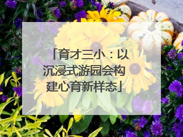 育才三小：以沉浸式游园会构建心育新样态