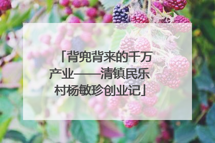 背兜背来的千万产业——清镇民乐村杨敏珍创业记