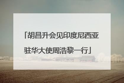 胡昌升会见印度尼西亚驻华大使周浩黎一行