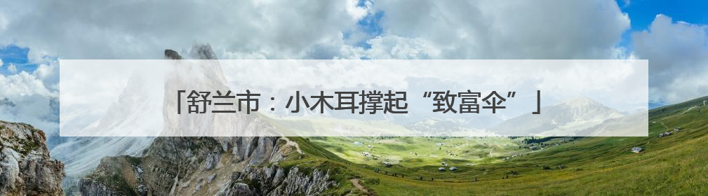 舒兰市：小木耳撑起“致富伞”