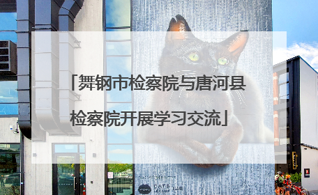 舞钢市检察院与唐河县检察院开展学习交流