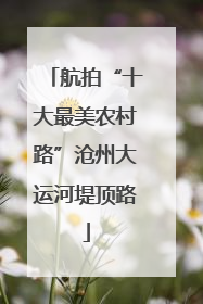 航拍“十大最美农村路”沧州大运河堤顶路