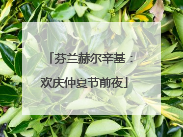 芬兰赫尔辛基：欢庆仲夏节前夜