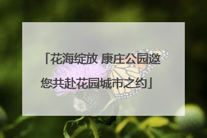 花海绽放 康庄公园邀您共赴花园城市之约