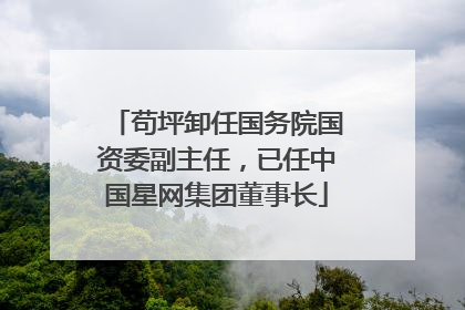苟坪卸任国务院国资委副主任，已任中国星网集团董事长