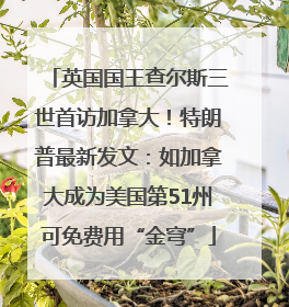 英国国王查尔斯三世首访加拿大！特朗普最新发文：如加拿大成为美国第51州可免费用“金穹”