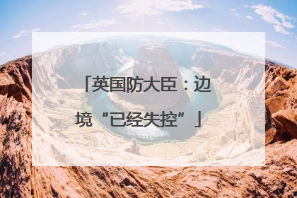 英国防大臣：边境“已经失控”