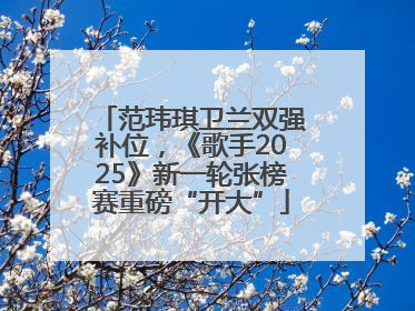 范玮琪卫兰双强补位，《歌手2025》新一轮张榜赛重磅“开大”