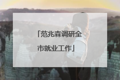 范兆森调研全市就业工作