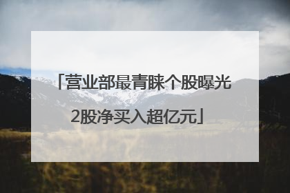 营业部最青睐个股曝光 2股净买入超亿元
