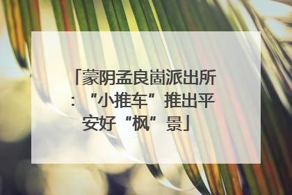 蒙阴孟良崮派出所：“小推车”推出平安好“枫”景