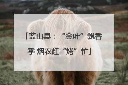 蓝山县：“金叶”飘香季 烟农赶“烤”忙